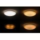 Dalen DL-C415TXW - LED Stmívatelné stropní svítidlo STAR SKY LED/38W/230V