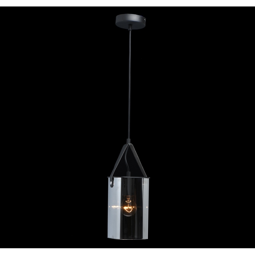 De Markt 673015701 - Lustr na lanku ALPHA 1xE27/40W/230V