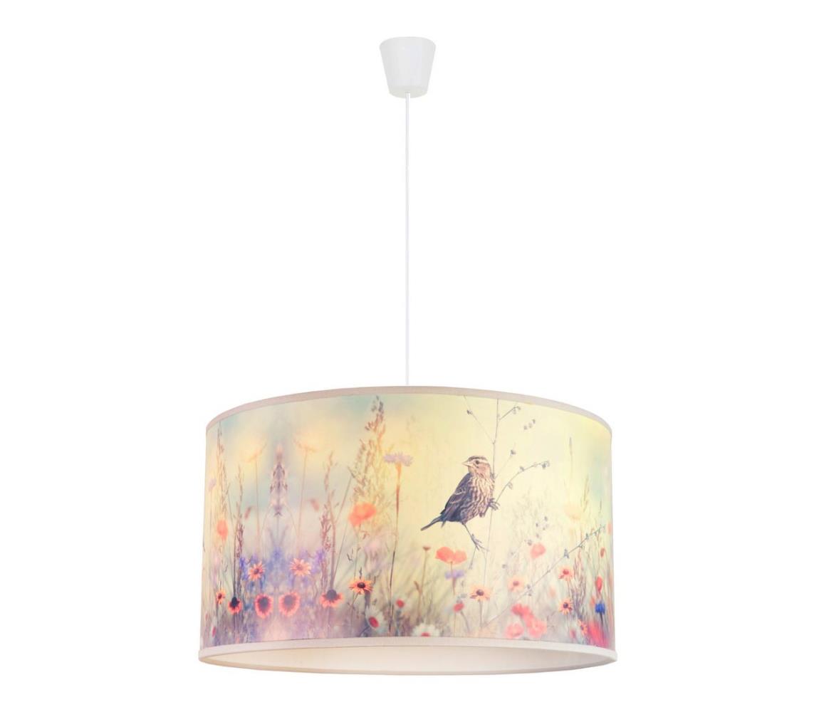 Duolla Dětský lustr na lanku BIRD 1xE27/15W/230V DU8836