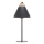 DFTP by Nordlux - Stolní lampa STRAP 1xE27/40W/230V černá