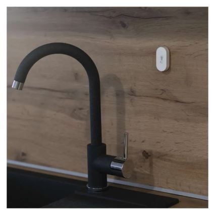 Digitální bezdrátový teploměr GoSmart 1×CR2032 Tuya