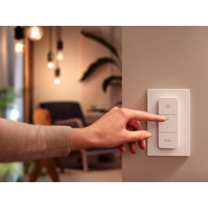Dimmer switch Philips Hue V2 1xCR2032