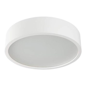 Dřevěné stropní svítidlo JASMIN 1xE27/20W/230V borovice pr. 27,5 cm