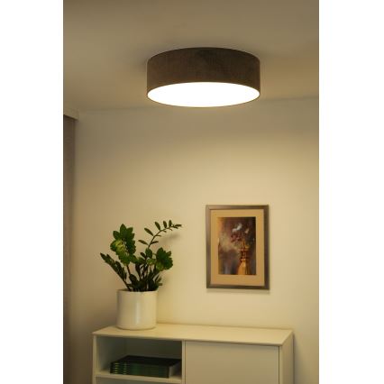Duolla - LED Stropní svítidlo CORTINA LED/26W/230V pr. 30 cm 4000K hnědá