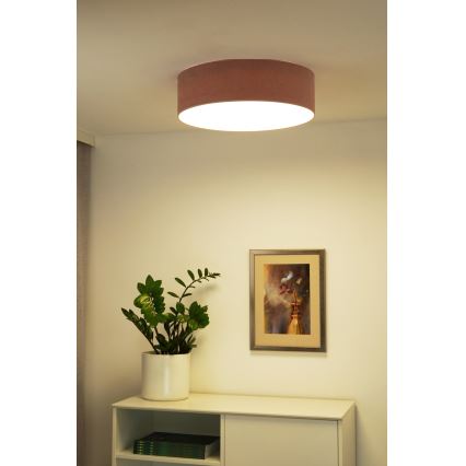 Duolla - LED Stropní svítidlo CORTINA LED/26W/230V pr. 30 cm 4000K růžová
