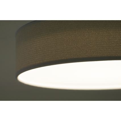Duolla - LED Stropní svítidlo CORTINA LED/26W/230V pr. 30 cm 4000K šedá