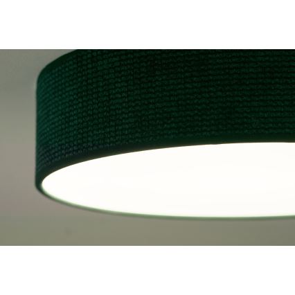 Duolla - LED Stropní svítidlo CORTINA LED/26W/230V pr. 30 cm 4000K zelená