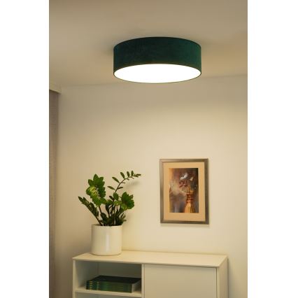 Duolla - LED Stropní svítidlo CORTINA LED/26W/230V pr. 45 cm 4000K zelená