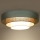 Duolla - LED Stropní svítidlo LUNETA LED/26W/230V pr. 60 cm 4000K tyrkysová/béžová/krémová