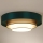 Duolla - LED Stropní svítidlo LUNETA LED/26W/230V pr. 60 cm 4000K zelená/zlatá/bílá