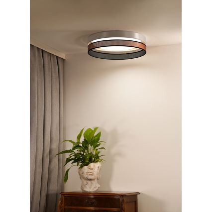 Duolla - LED Stropní svítidlo ROLLER DUO SHINY LED/24W/230V pr. 45 cm bílá/měděná
