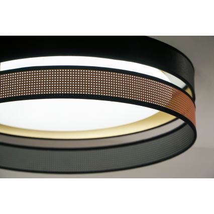 Duolla - LED Stropní svítidlo ROLLER DUO SHINY LED/24W/230V pr. 45 cm černá/měděná