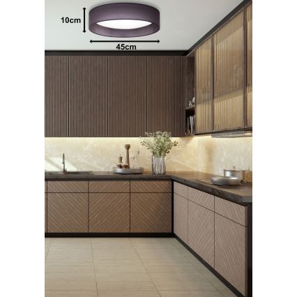 Duolla - LED Stropní svítidlo ROLLER LED/24W/230V pr. 45 cm antracit
