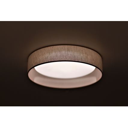 Duolla - LED Stropní svítidlo ROLLER LED/24W/230V pr. 45 cm béžová