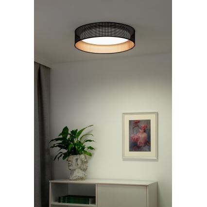 Duolla - LED Stropní svítidlo ROLLER LED/24W/230V pr. 45 cm černá/měděná