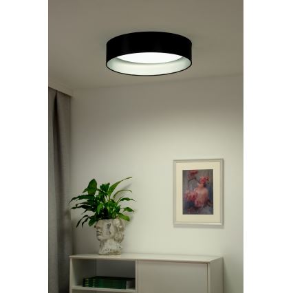 Duolla - LED Stropní svítidlo ROLLER LED/24W/230V pr. 45 cm černá/stříbrná
