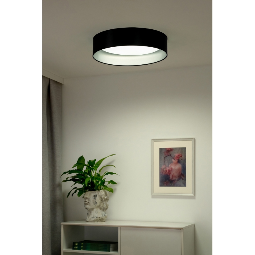 Duolla - LED Stropní svítidlo ROLLER LED/24W/230V pr. 45 cm černá/stříbrná