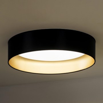 Duolla - LED Stropní svítidlo ROLLER LED/24W/230V pr. 45 cm černá/zlatá