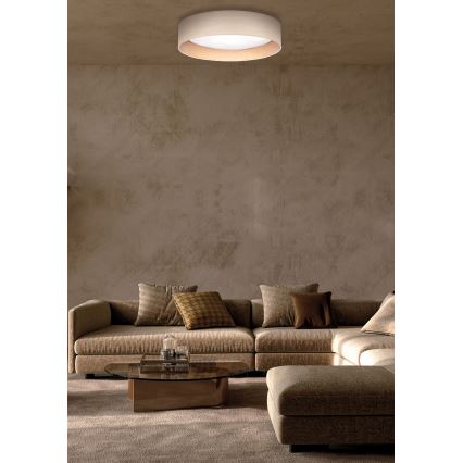 Duolla - LED Stropní svítidlo ROLLER LED/24W/230V pr. 45 cm jasan