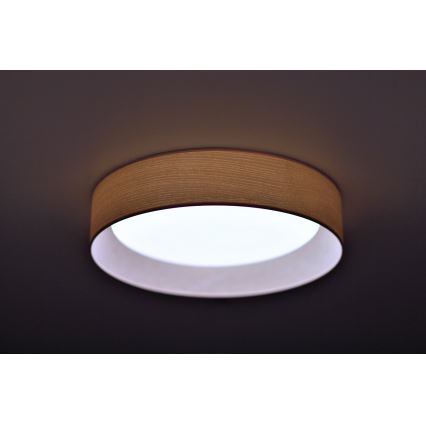 Duolla - LED Stropní svítidlo ROLLER LED/24W/230V pr. 45 cm jasan