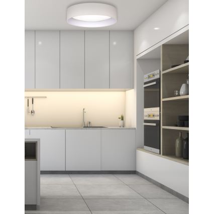 Duolla - LED Stropní svítidlo ROLLER LED/24W/230V pr. 45 cm krémová
