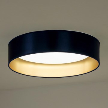 Duolla - LED Stropní svítidlo ROLLER LED/24W/230V pr. 45 cm modrá/zlatá
