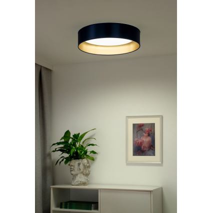 Duolla - LED Stropní svítidlo ROLLER LED/24W/230V pr. 45 cm modrá/zlatá