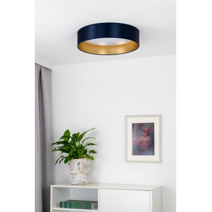 Duolla - LED Stropní svítidlo ROLLER LED/24W/230V pr. 45 cm modrá/zlatá