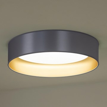 Duolla - LED Stropní svítidlo ROLLER LED/24W/230V pr. 45 cm stříbrná/zlatá
