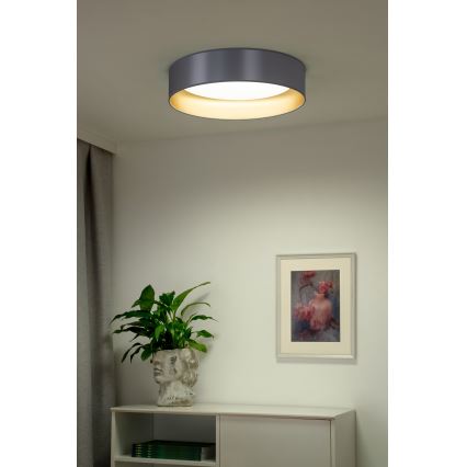 Duolla - LED Stropní svítidlo ROLLER LED/24W/230V pr. 45 cm stříbrná/zlatá