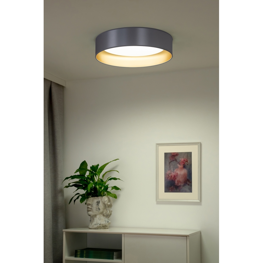 Duolla - LED Stropní svítidlo ROLLER LED/24W/230V pr. 45 cm stříbrná/zlatá