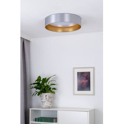 Duolla - LED Stropní svítidlo ROLLER LED/24W/230V pr. 45 cm stříbrná/zlatá