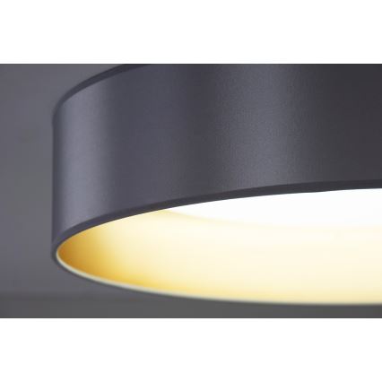 Duolla - LED Stropní svítidlo ROLLER LED/24W/230V pr. 45 cm stříbrná/zlatá