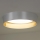Duolla - LED Stropní svítidlo ROLLER LED/24W/230V pr. 45 cm stříbrná/zlatá