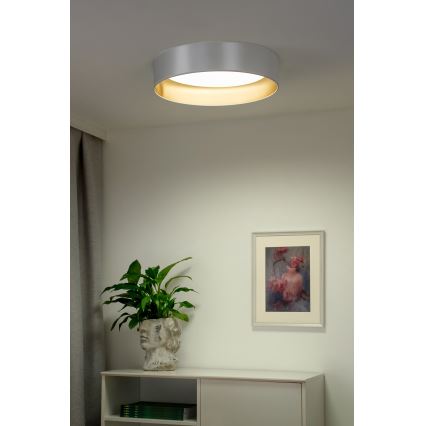 Duolla - LED Stropní svítidlo ROLLER LED/24W/230V pr. 45 cm stříbrná/zlatá