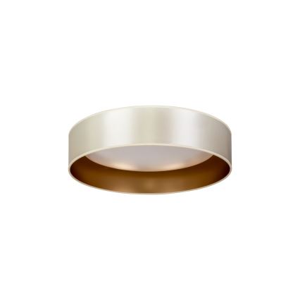 Duolla - LED Stropní svítidlo ROLLER LED/24W/230V pr. 45 cm stříbrná/zlatá