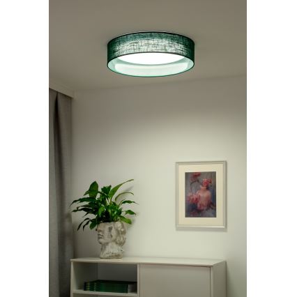 Duolla - LED Stropní svítidlo ROLLER LED/24W/230V pr. 45 cm zelená