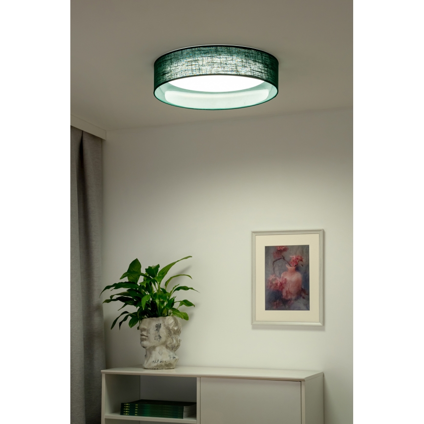 Duolla - LED Stropní svítidlo ROLLER LED/24W/230V pr. 45 cm zelená