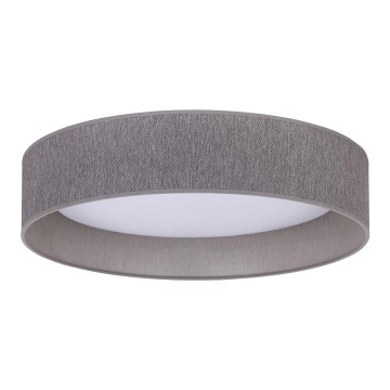 Duolla - LED Stropní svítidlo ROLLER LED/24W/230V tmavě pr. 45 cm šedá