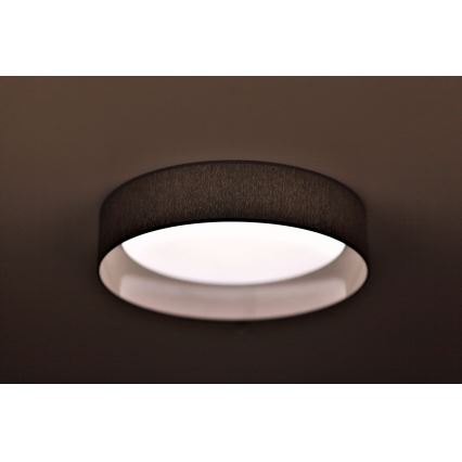 Duolla - LED Stropní svítidlo ROLLER LED/24W/230V tmavě pr. 45 cm šedá