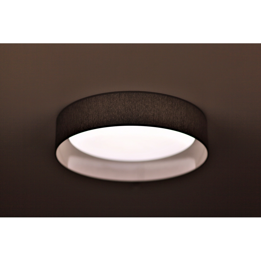 Duolla - LED Stropní svítidlo ROLLER LED/24W/230V tmavě pr. 45 cm šedá