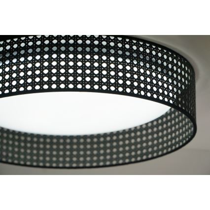 Duolla - LED Stropní svítidlo ROLLER RATTAN LED/24W/230V pr. 45 cm černá