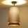 Duolla - Přisazený lustr BELL SHINY 1xE27/15W/230V pr. 25 cm stříbrná/černá