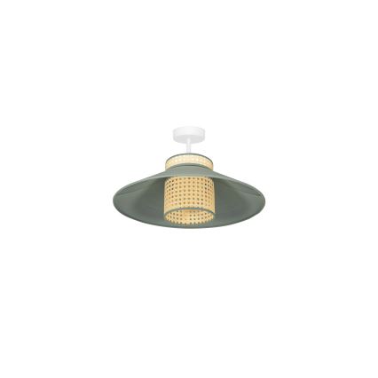 Duolla - Přisazený lustr RIO RATTAN 1xE27/15W/230V pr. 45 cm zelená/ratan