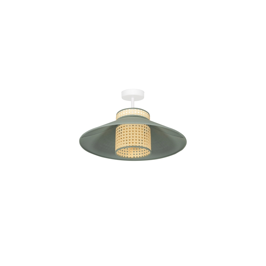 Duolla - Přisazený lustr RIO RATTAN 1xE27/15W/230V pr. 45 cm zelená/ratan