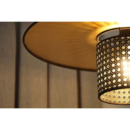 Duolla - Přisazený lustr TOKYO RATTAN 1xE27/15W/230V pr. 50 cm zlatá/černá