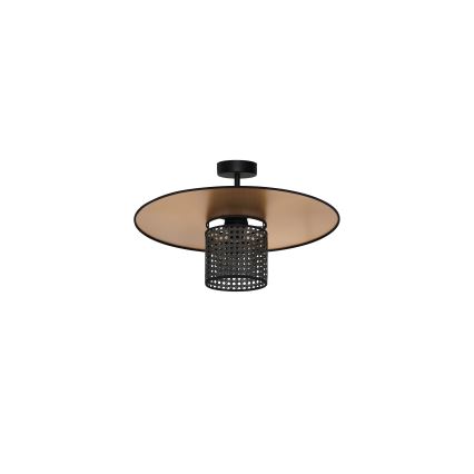 Duolla - Přisazený lustr TOKYO RATTAN 1xE27/15W/230V pr. 50 cm zlatá/černá