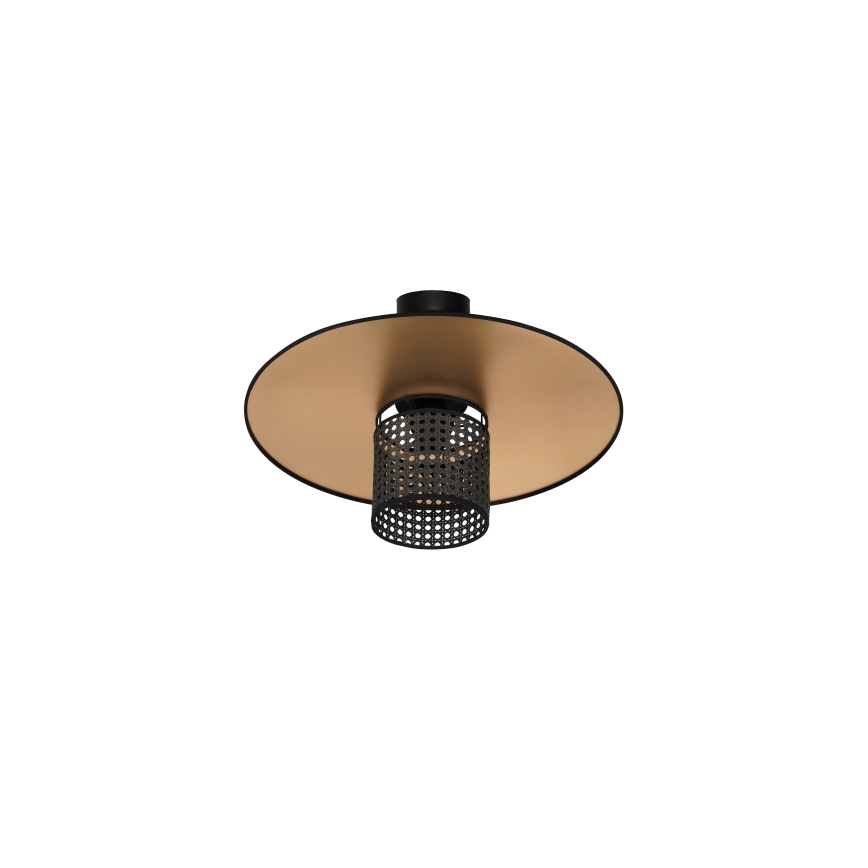 Duolla - Přisazený lustr TOKYO RATTAN 1xE27/15W/230V pr. 50 cm zlatá/černá