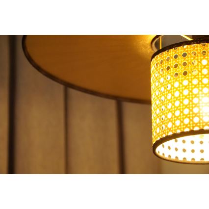 Duolla - Přisazený lustr TOKYO RATTAN 1xE27/15W/230V pr. 50 cm zlatá/ratan
