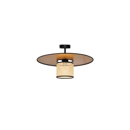 Duolla - Přisazený lustr TOKYO RATTAN 1xE27/15W/230V pr. 50 cm zlatá/ratan